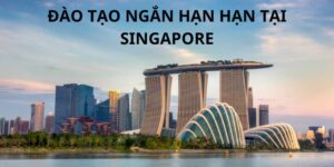 Đào Tạo Ngắn Hạn Tại Singapore Lựa Chọn Hiệu Quả Cho Bạn