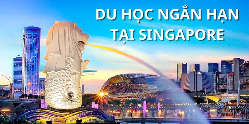 Chương trình đào tạo ngắn hạn ngành công nghệ thông tin tại Singapore