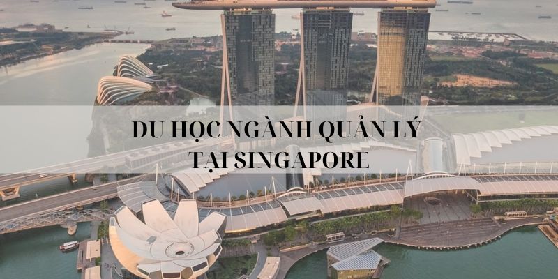 Du học ngành quản lý tại Singapore - Ngành học lý tưởng