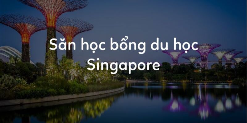 Kinh nghiệm săn học bổng Singapore thành công cho sinh viên