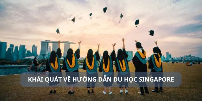 Cung cấp thông tin khái quát về hướng dẫn du học Singapore 